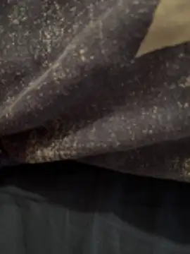 Snapshot of Enzo_2763 chatting on 02/25/26, 07:58 Enzo 2763 online show from 02/25/26, 07:58