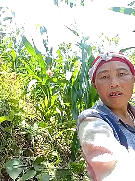 lena-cute online show from 05/13/26, 05:14