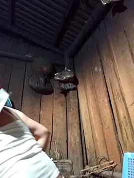 Snapshot of lena-cute chatting on 02/05/26, 12:56 lena-cute online show from 02/05/26, 12:56