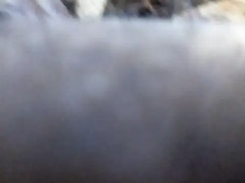 Joecool1009 online show from 02/03/26, 12:32