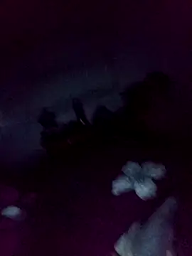 loveofpetitegirls34 online show from 02/13/26, 03:28