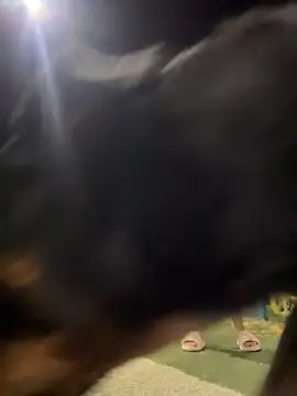 Arya    online show from 02/19/26, 05:48