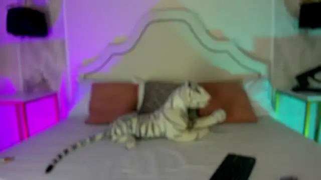 Snapshot of niicole_garner chatting on 02/25/26, 03:56 niicole garner online show from 02/25/26, 03:56