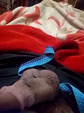 Snapshot of Al-Hari chatting on 02/08/26, 06:05 Al-Hari online show from 02/08/26, 06:05