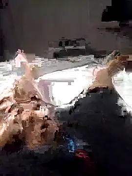 Snapshot of Al-Hari chatting on 02/04/26, 04:13 Al-Hari online show from 02/04/26, 04:13