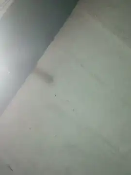 Snapshot of Hot_ras28 chatting on 02/20/26, 09:28 Hot ras28 online show from 02/20/26, 09:28