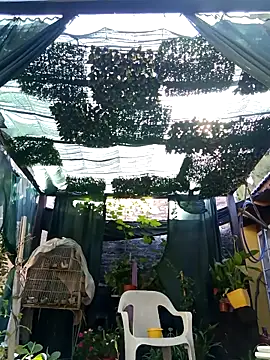 Snapshot of gordorichard chatting on 02/21/26, 12:40 gordorichard online show from 02/21/26, 12:40