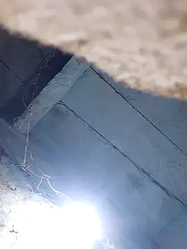 Snapshot of sapnaroy120 chatting on 03/03/26, 04:36 sapnaroy120 online show from 03/03/26, 04:36