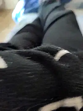 pericolo90 online show from 04/07/26, 09:11