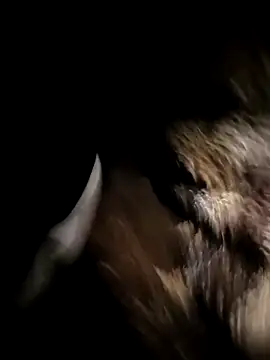 Nonamebadboy7 online show from 03/18/26, 04:15