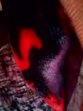 Talkwithsex online show from 03/30/26, 02:46