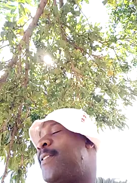 Sbuda3159 online show from 02/08/26, 11:41