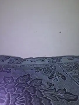 Sakeemaxxy online show from 04/13/26, 09:08