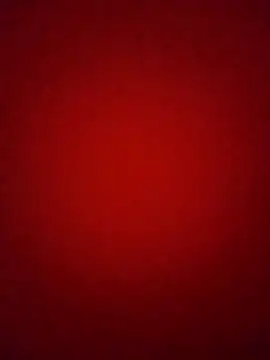 Pelloz online show from 02/04/26, 09:37