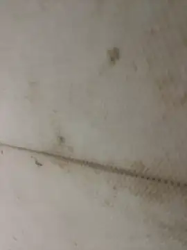 Miu Xinh online show from 04/11/26, 05:05