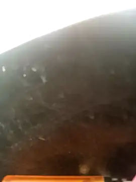 perrit17 online show from 03/13/26, 07:08