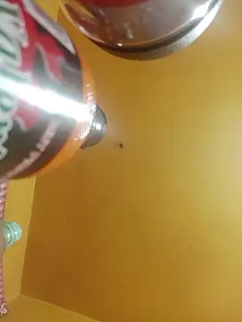 perrit17 online show from 04/04/26, 03:13