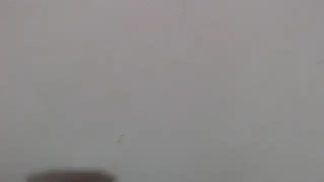 im angel777 online show from 02/04/26, 10:05