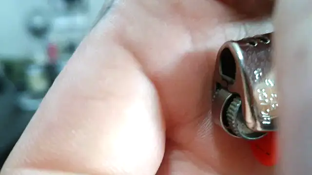 F D R  online show from 04/19/26, 08:22