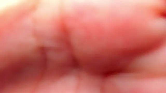 Snapshot of RinaFox__ chatting on 02/21/26, 01:18 RinaFox online show from 02/21/26, 01:18