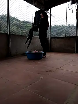 LiilyZi online show from 03/05/26, 01:46