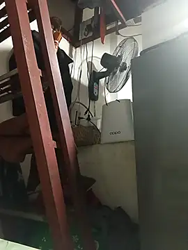 Wildcam21 online show from 02/28/26, 06:35