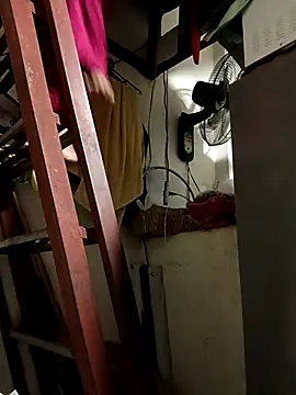 Wildcam21 online show from 02/15/26, 05:19