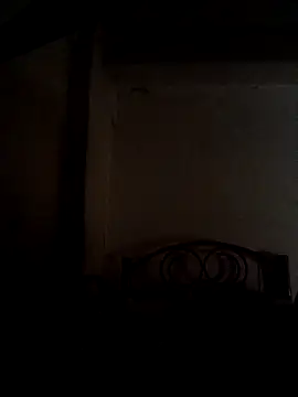 Wildcam21 online show from 02/17/26, 09:12