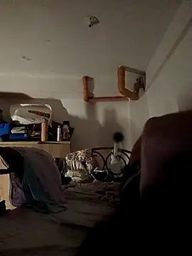 Wildcam21 online show from 02/19/26, 05:21