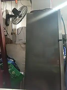 Wildcam21 online show from 03/03/26, 11:17