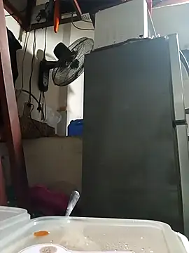 Wildcam21 online show from 02/24/26, 09:54