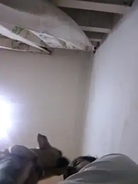 CubanoxxxSex online show from 02/12/26, 05:13