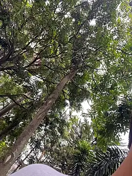 Gael Velaryx online show from 04/10/26, 03:30