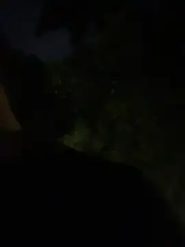 Gael Velaryx online show from 04/02/26, 03:13