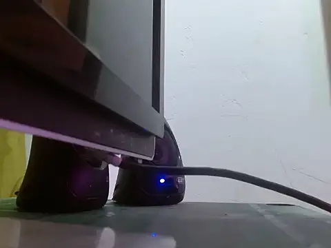 elking big online show from 03/10/26, 05:33