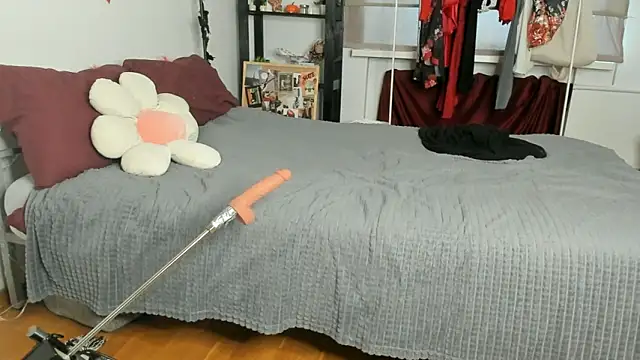 CalmFever online show from 02/19/26, 01:19