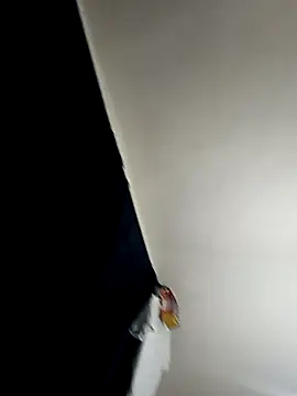 baby 22cm online show from 02/11/26, 01:38