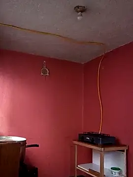 baby 22cm online show from 03/13/26, 11:59