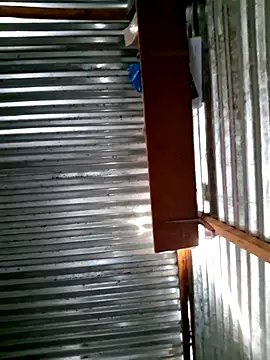 DocCock021 online show from 02/07/26, 05:04