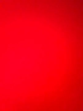 DocCock021 online show from 02/18/26, 09:44