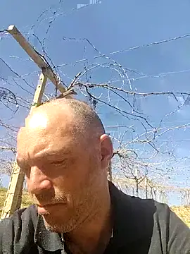 circott online show from 02/22/26, 12:18