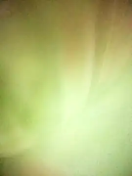 Snapshot of BIG_QWEEN_NO1 chatting on 02/20/26, 06:37 BIG QWEEN NO1 online show from 02/20/26, 06:37