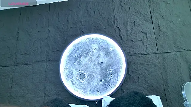 Alice-Bunny online show from 02/18/26, 08:27