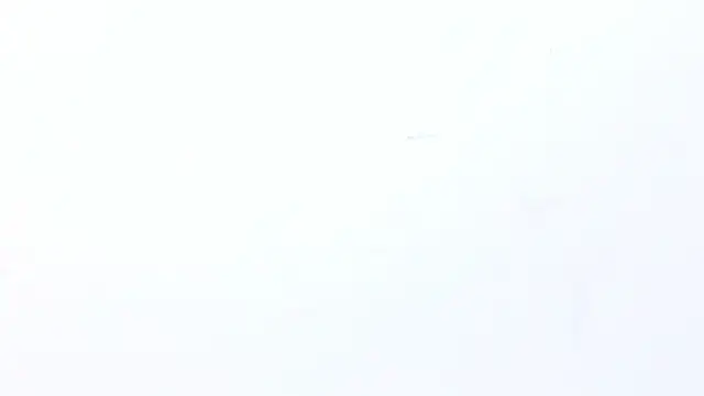 Kitty f00x online show from 06/02/26, 07:25