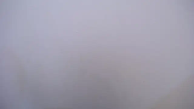 Kitty f00x online show from 05/21/26, 07:11