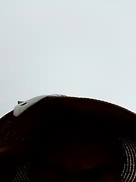 Nhoccon90 online show from 03/25/26, 01:39