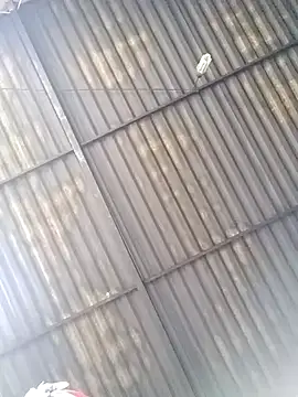 Linka998 online show from 03/25/26, 04:45