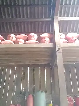 Linka998 online show from 03/03/26, 06:31