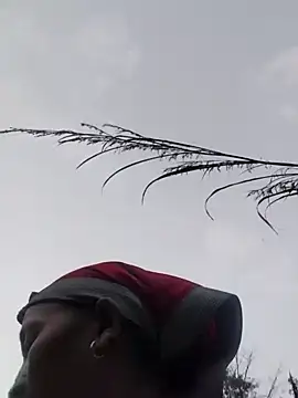 Linka998 online show from 03/20/26, 11:11