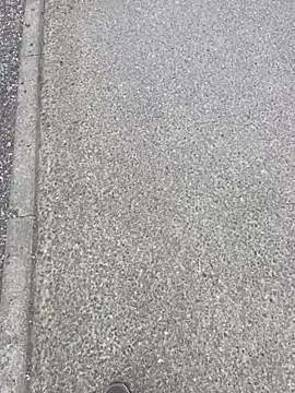 stallone italiano 62 online show from 04/12/26, 06:16